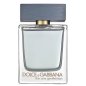 The-One-Gentleman-Dolce-Gabbana-uomo