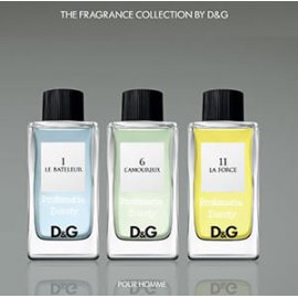 (USATO) - D&G Anthology - 11 - La Force EDT 100ml spray