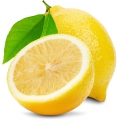 Limone di Sicilia